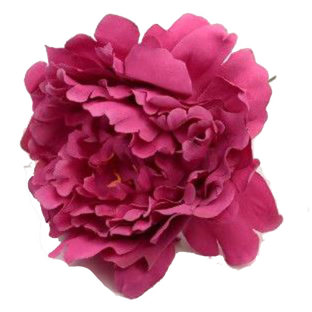フラメンコの花。クラシックなブーゲンビリア牡丹。 12cm